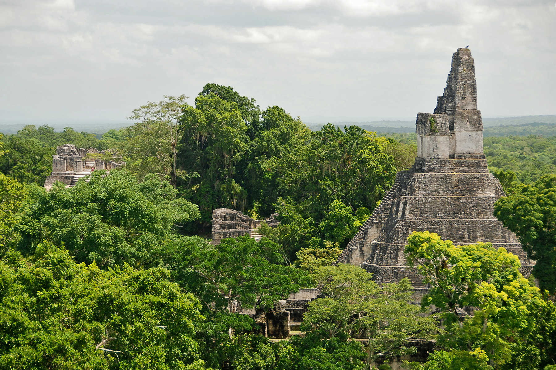 Temple du site maya de Tikal au Guatemala © Coston Jean-Pierre Temple du site maya de Tikal au Guatemala