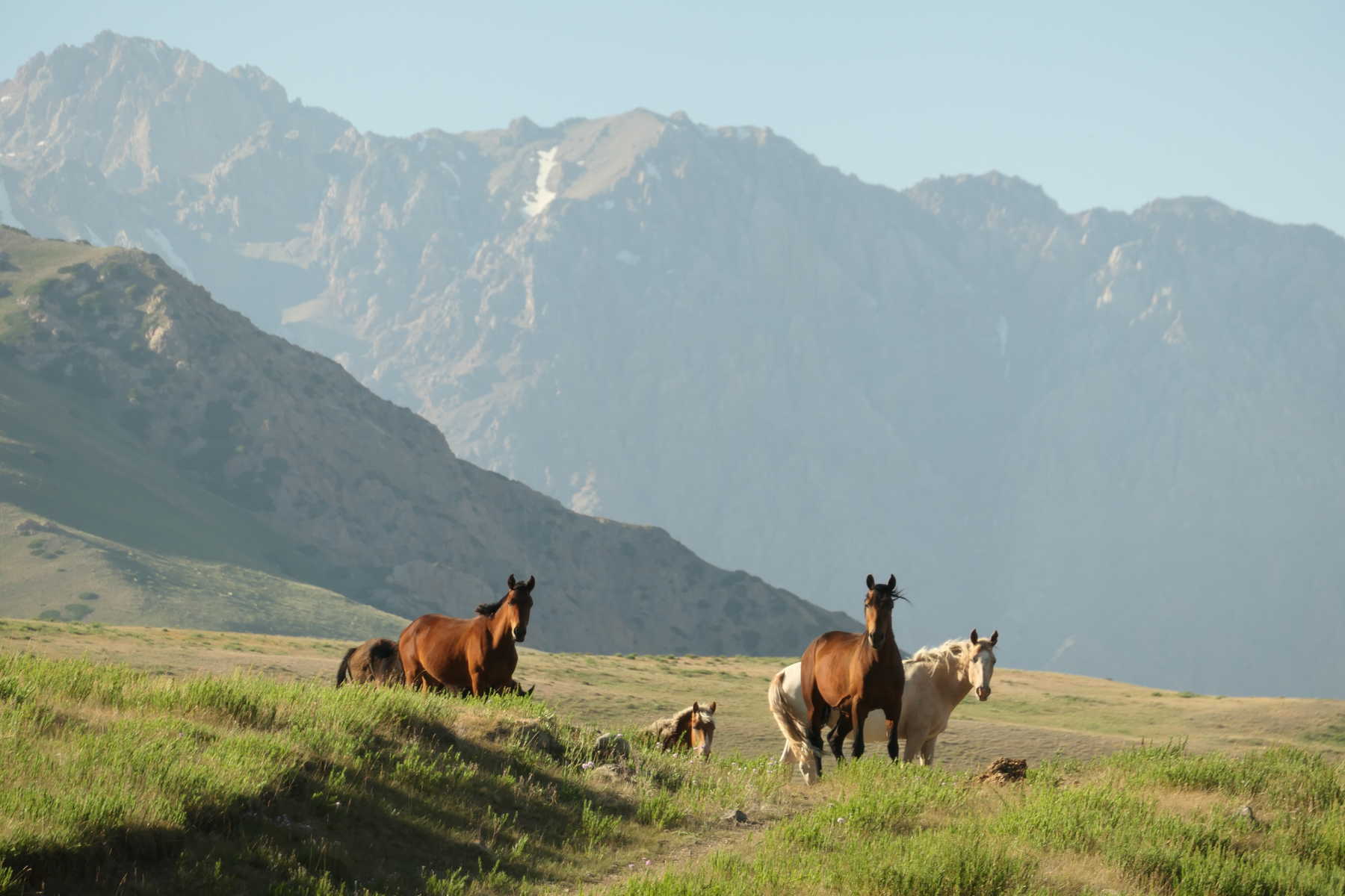 Trek à Tien Shan