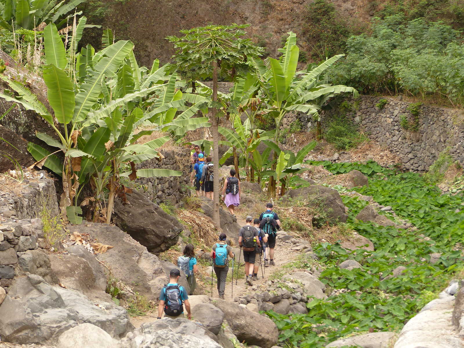Vallée de Paul - Santo Antao