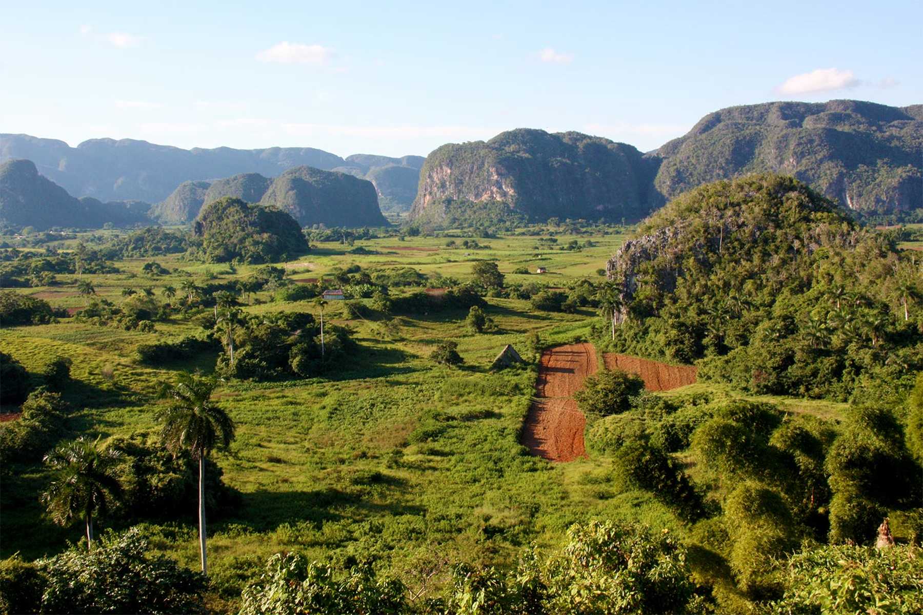 vue aérienne de la Vallée de Viñales à Cuba