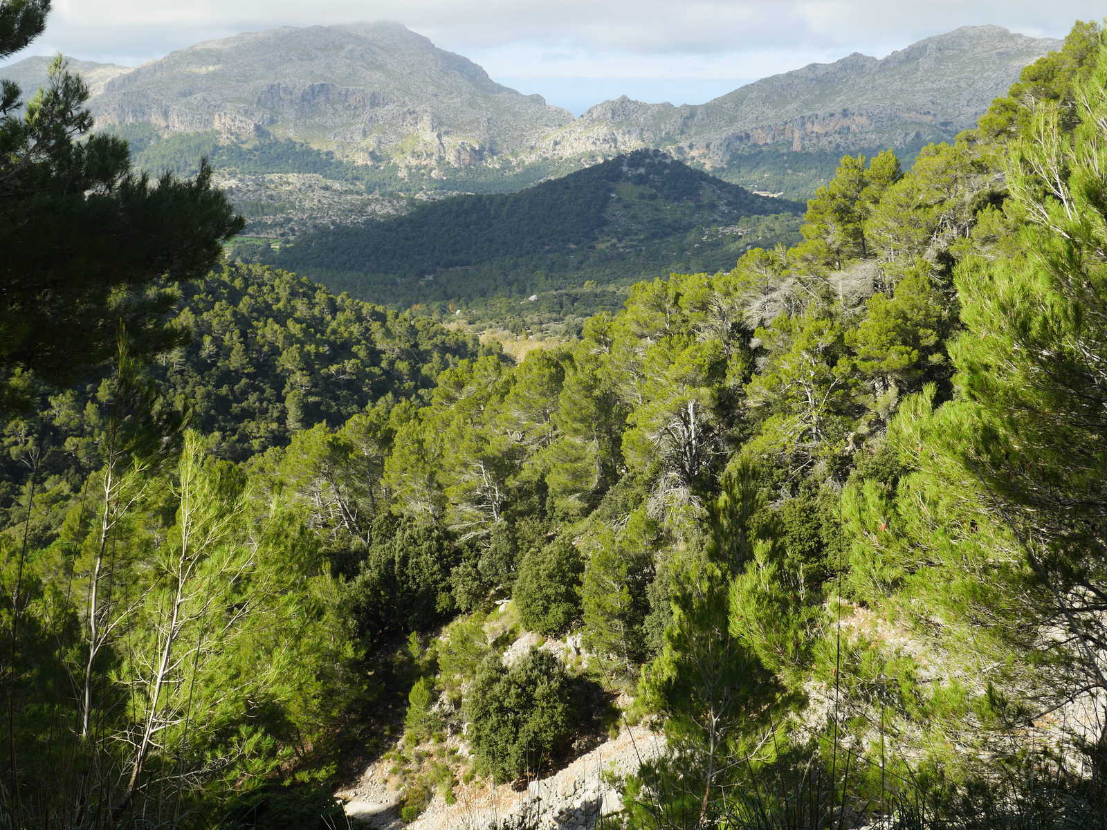 Vue depuis la montée au Puig Tomir à Majorque aux Baléares