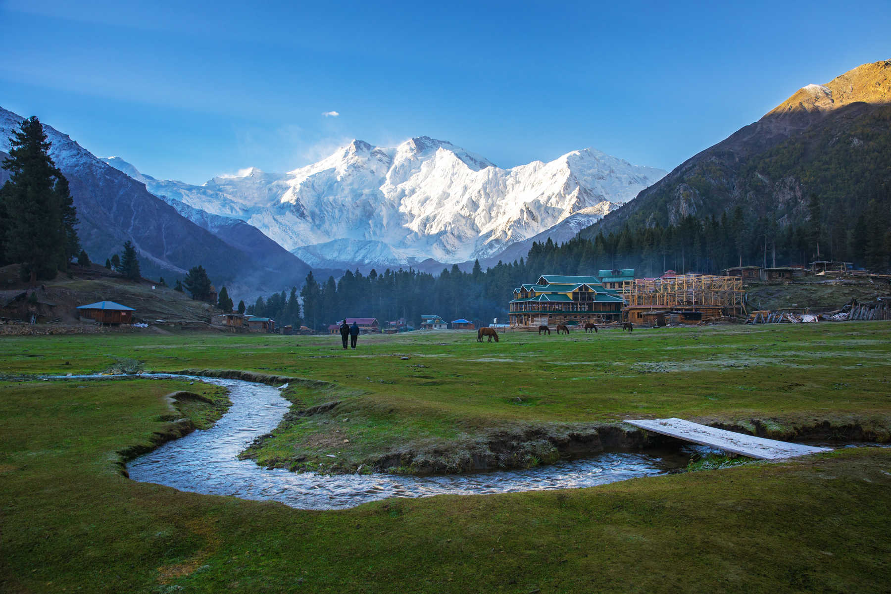 Vue du Nanga Parbat avec le ruisseau de Fairy Meadows au Pakistan