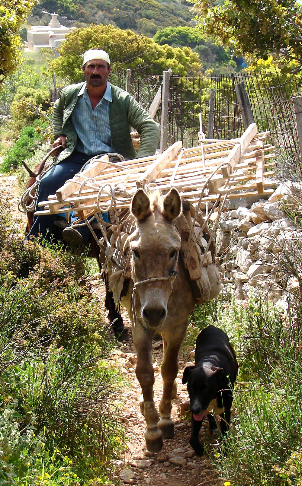 âne monté par un grec, Amorgos