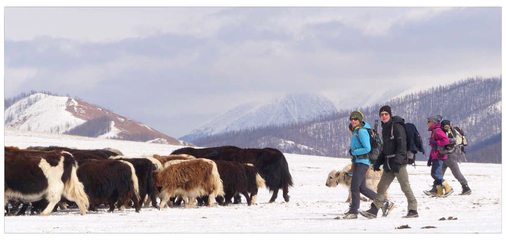 Article Mongolie - Trek aux côtés des nomades Darkhad en Mongolie