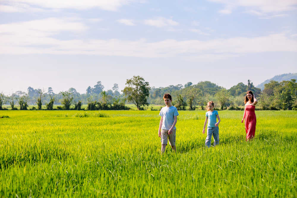 Balade dans les rizieres au Sri Lanka en famille