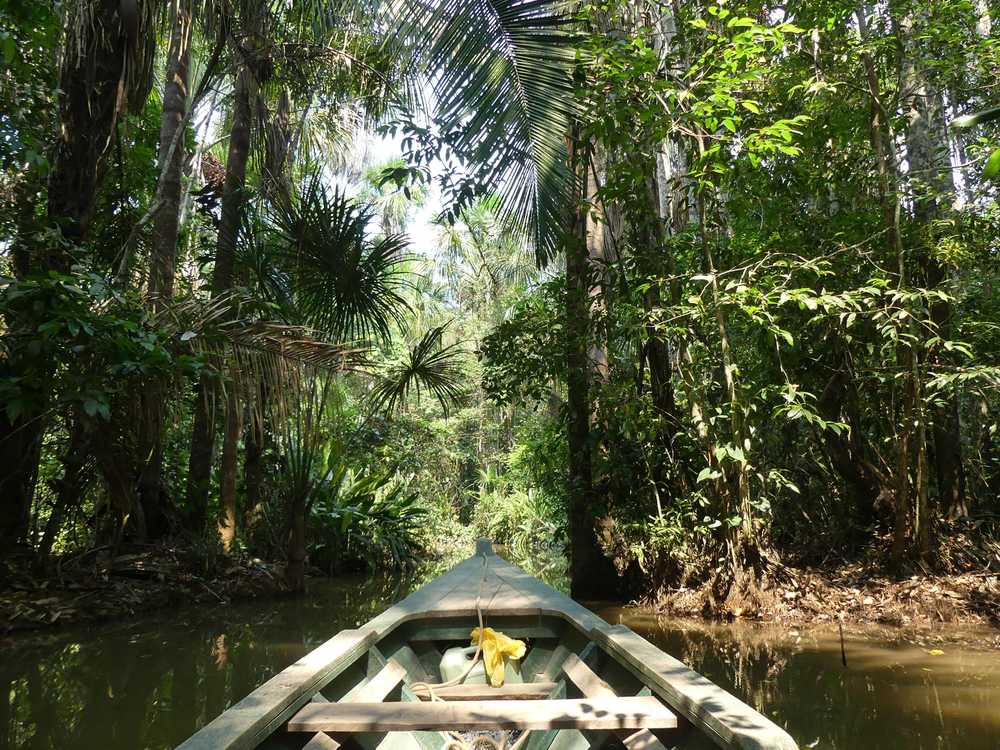 Barque dans la jungle amazonienne, au Pérou
