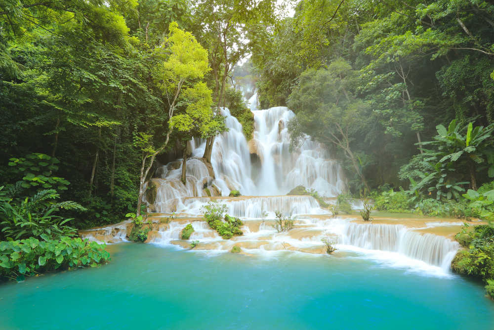Belle cascade de Kuang Si dans la jungle sauvage  à Luang Prabang au Laos