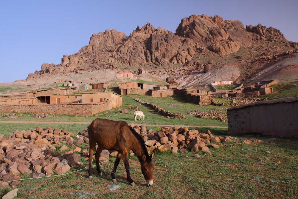 Bergerie d'altitude près du massif du Siroua dans les montagnes de l'Atlas, Maroc