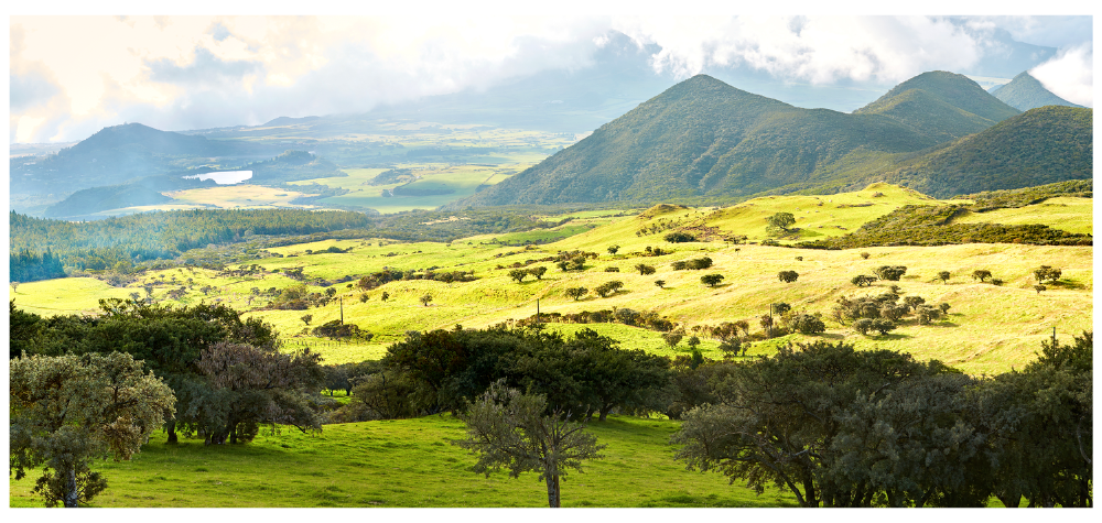Blog : Se préparer à un trek sur les traces de la Diagonale des Fous, à la Réunion