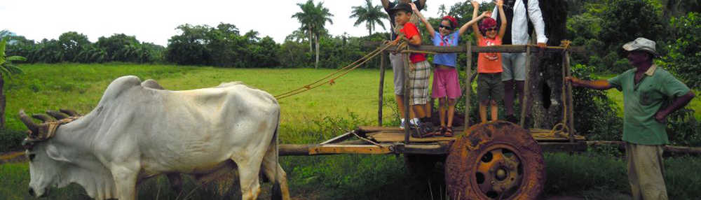 bœufs qui tire une charrettes avec une famille à l'intérieur à Cuba