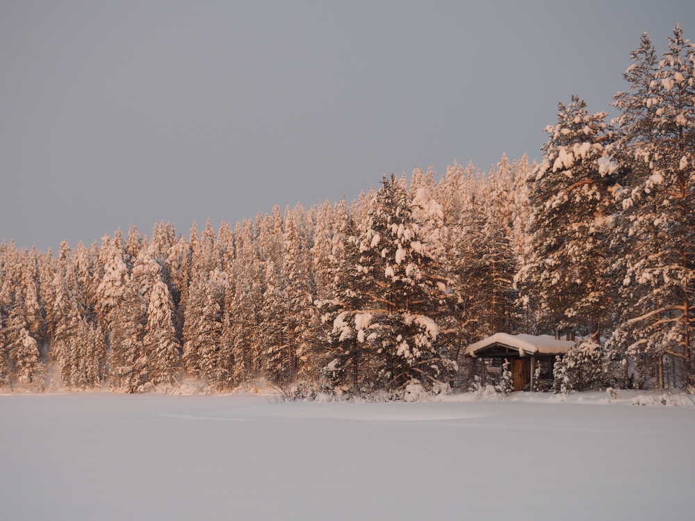 Cabane en bois dans la forêt enneigée en Finlande avec les lueurs du soleil