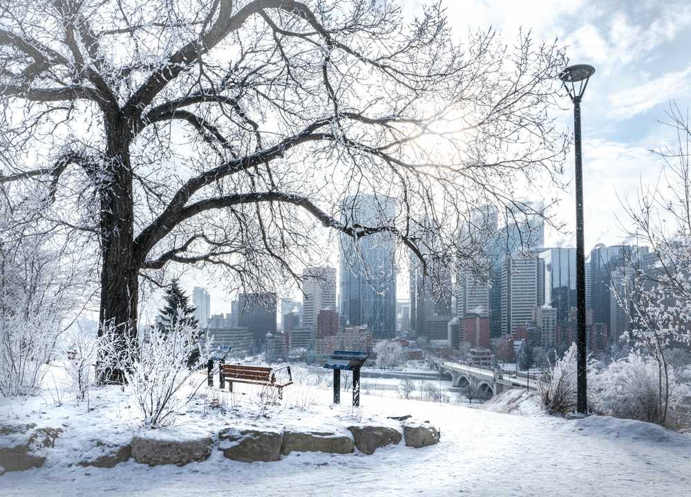 Calgary hiver