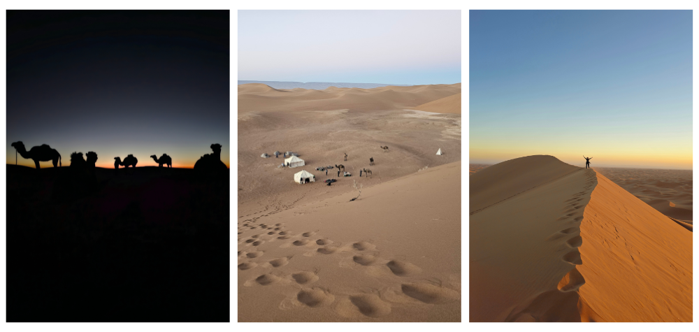 Caravane chamelière, bivouac et dunes dans le désert marocain