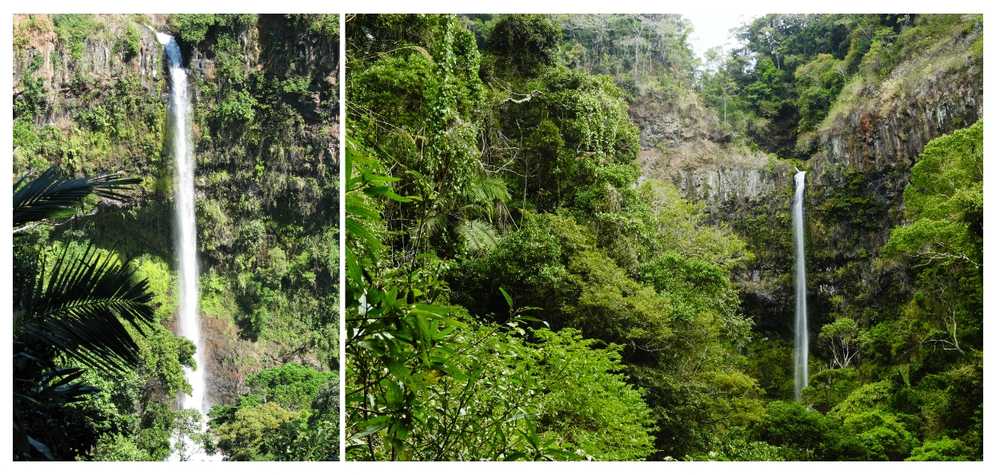 cascade-nature-luxuriante-montagne-d-ambre