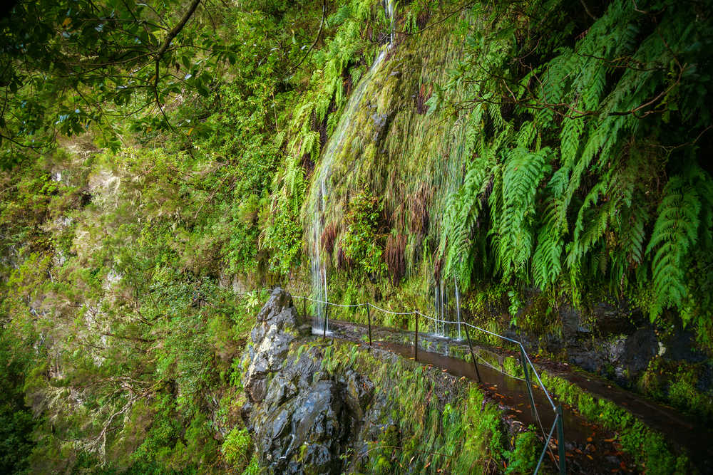 cascades-a-caldeirao-verde-sur-des-sentiers-madere-portugal