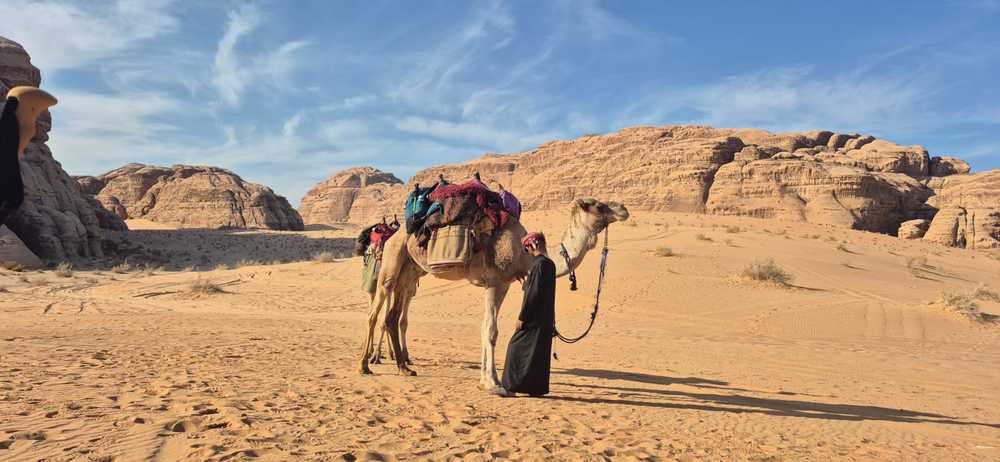 chamelier-et-son-chameau-dans-le-desert
