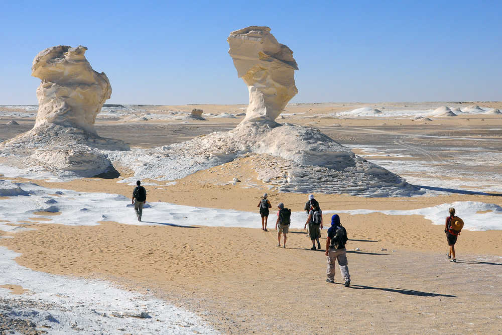 Champignons de calcaire dans le Désert blanc