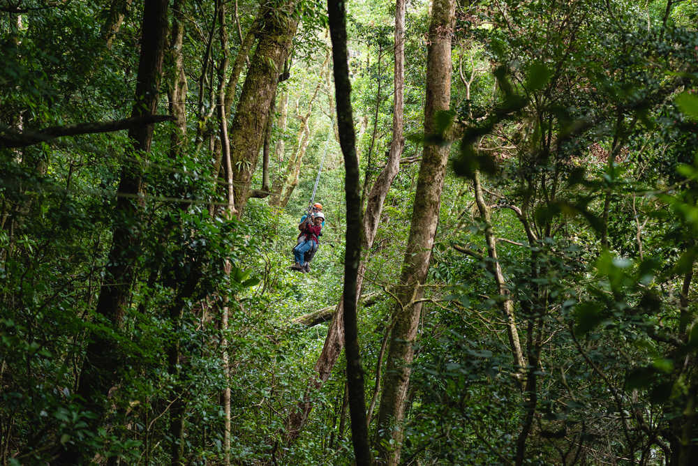 Costa Rica tyrolienne jungle