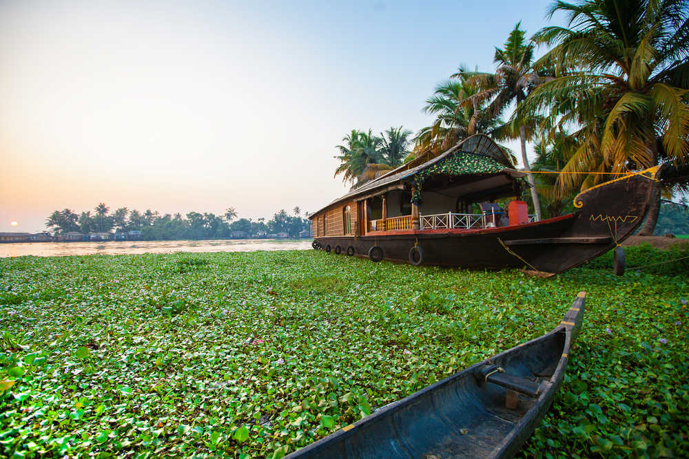 coucher de soleil avec houseboat dans les backwaters du Kerala, Inde