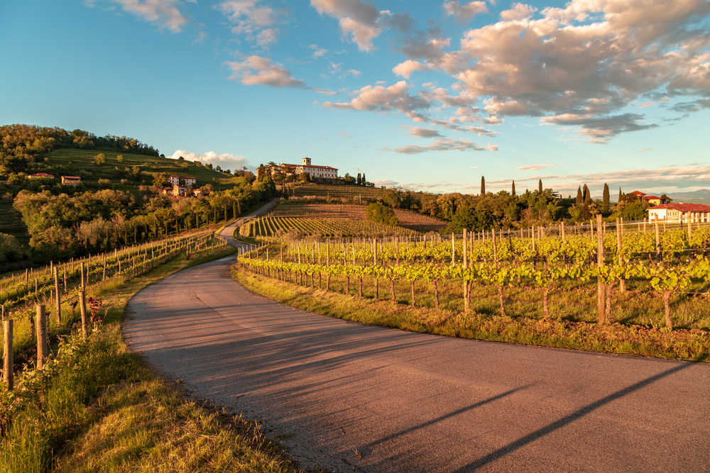 Coucher de soleil printanier dans les vignobles de Rosazzo, italie