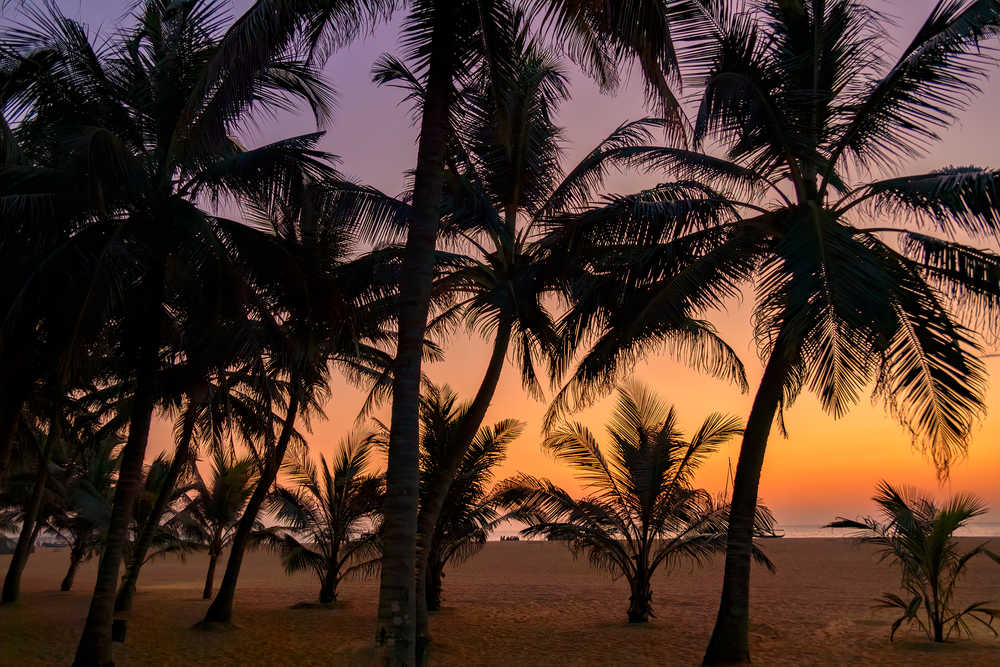 Coucher de soleil sur la plage de Negombo au Sri Lanka