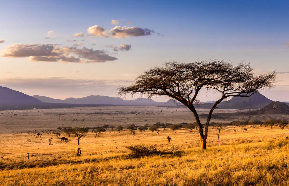 Coucher de soleil sur les plaines de la savane Kenya