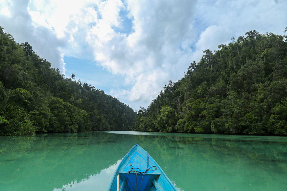 Dans un kayak dans la forêt de Raja Ampat, Indonesie