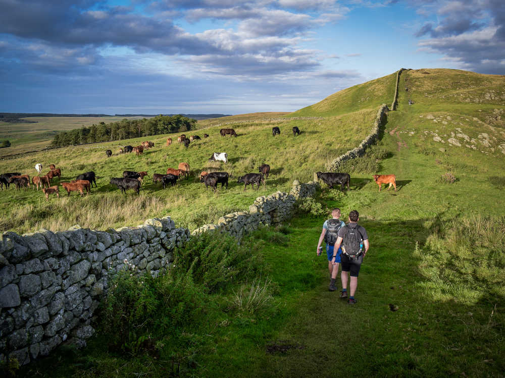Des randonneurs approchant de Once Brewed  près de Steel Rigg sur le sentier du mur d'Hadrien