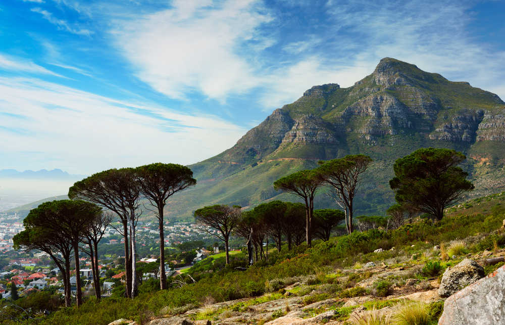 devils-peak-paysage-cape-town