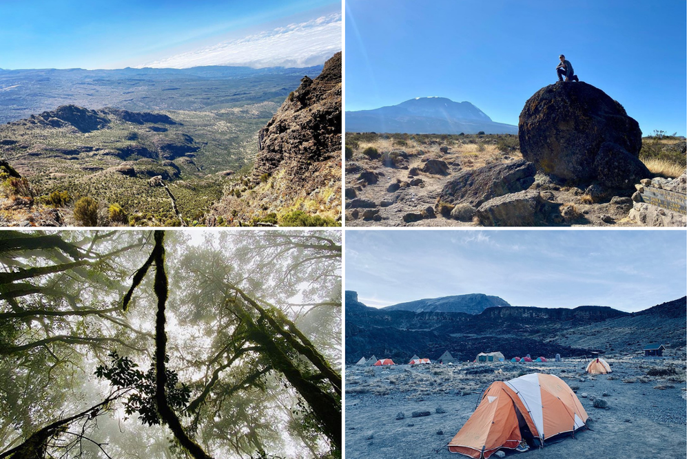 Différents paysages lors de l'ascension du Kilimandjaro en Tanzanie