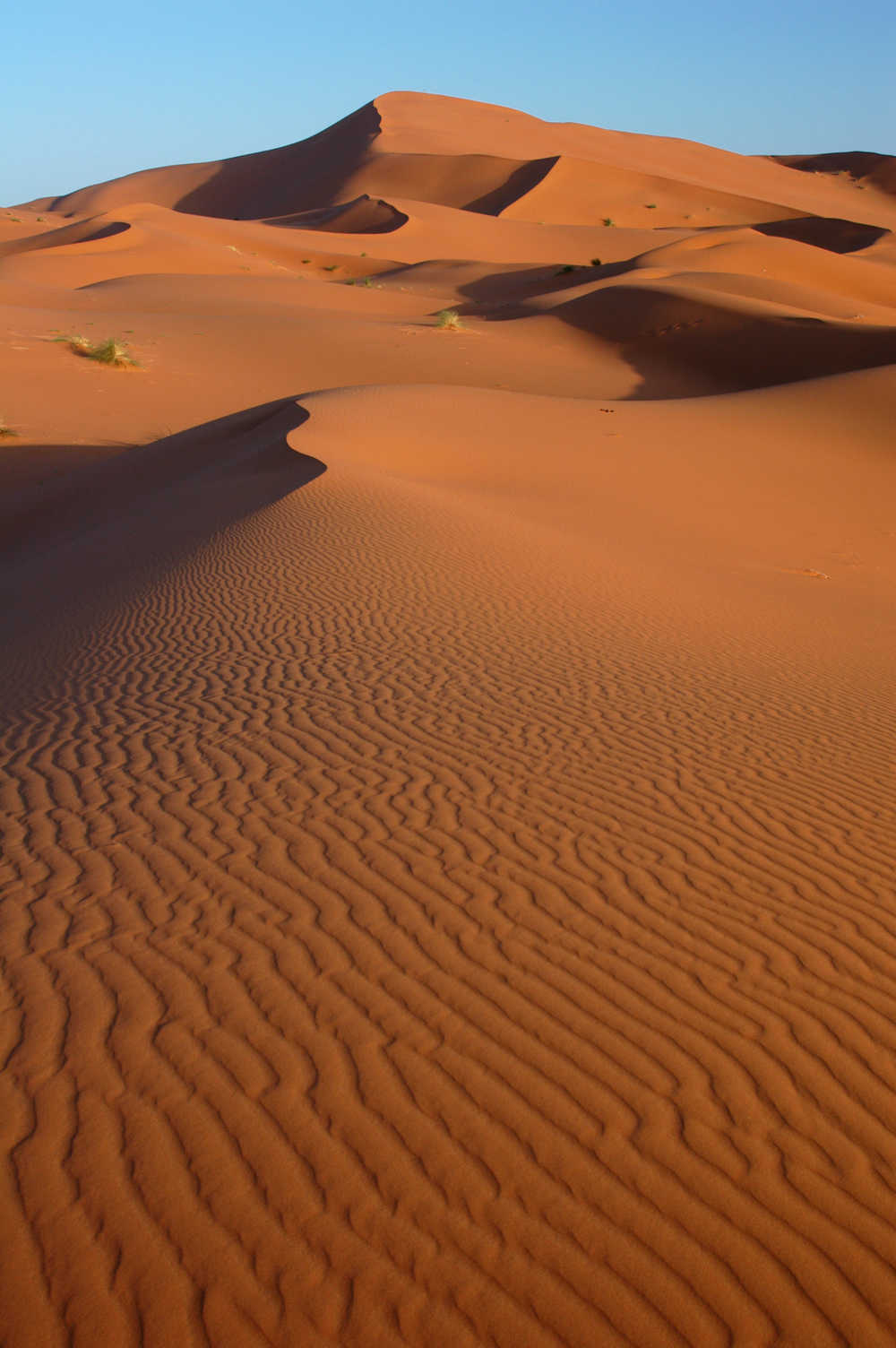 Dunes de sable rouge dans le désert d'Egypte