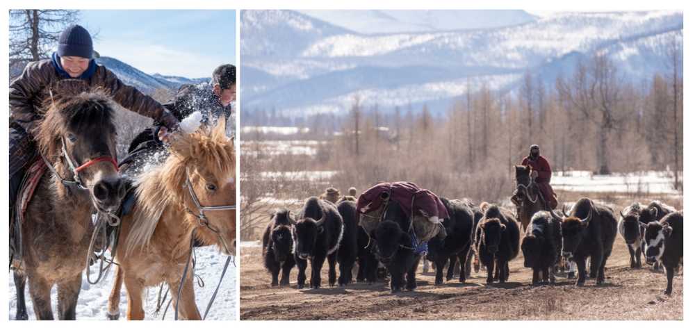 enfants-nomades-en-mongolie