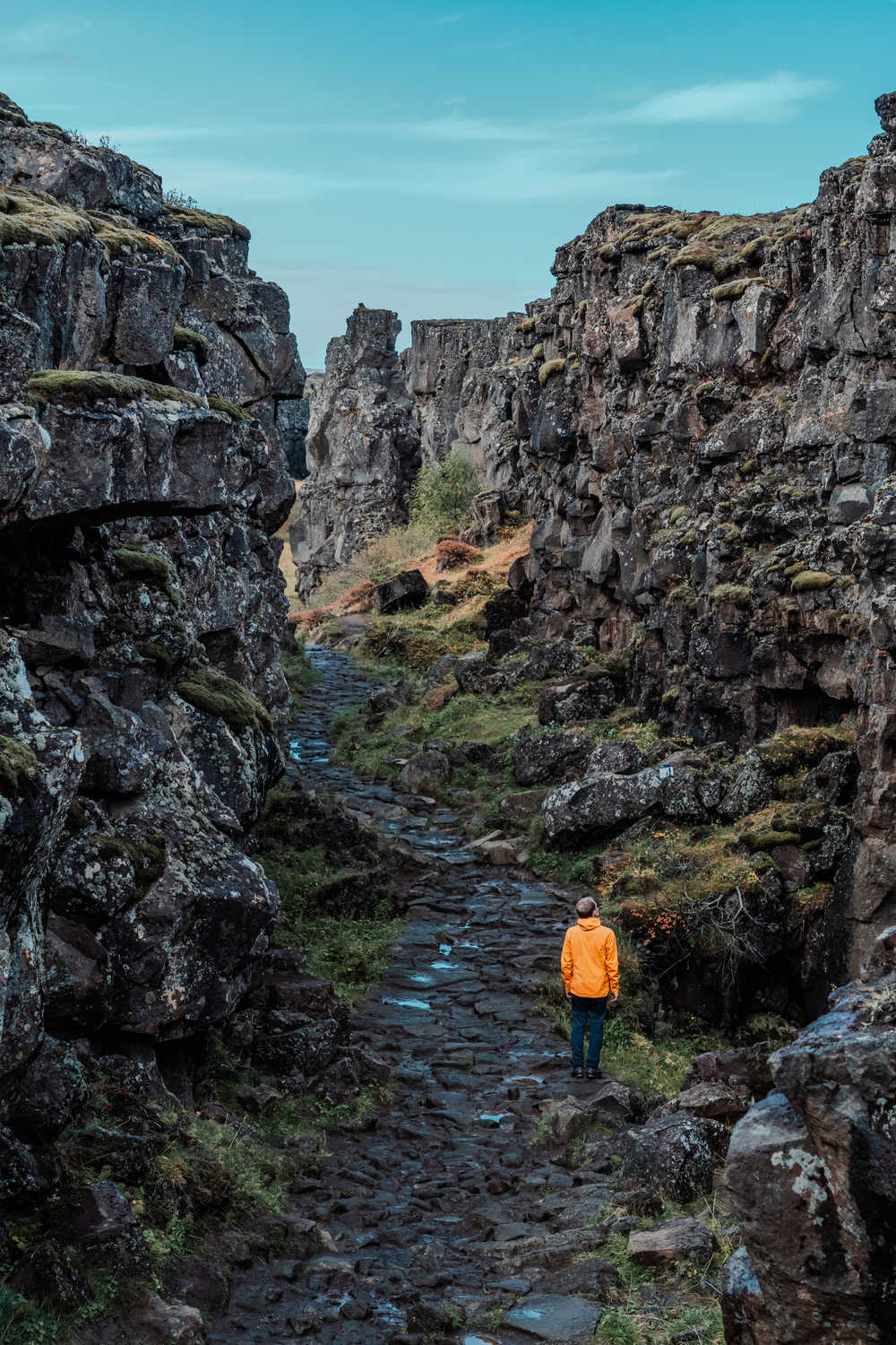 Faille de Thingvellir canyon