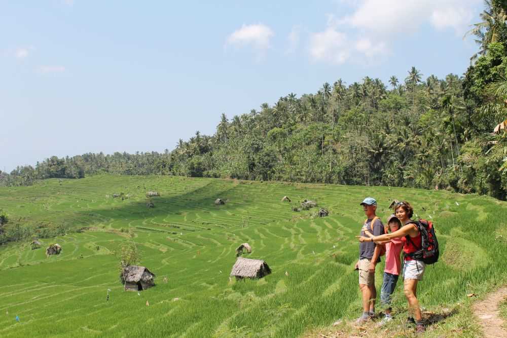 famille de randonneurs au dessus d'un village et de rizières Indonésiens