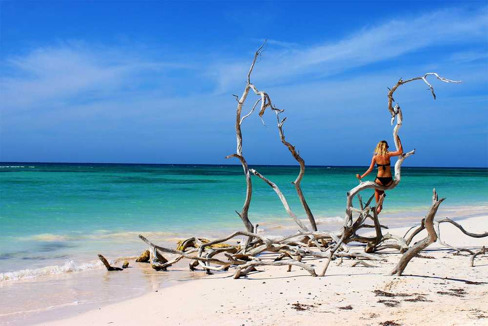 femme sur du bois flotté sur l'île Cayo Jutiyas à Cuba