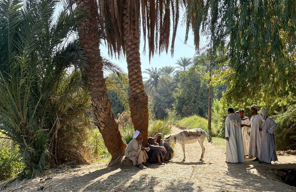 Fermiers d'un village égyptien en Egypte