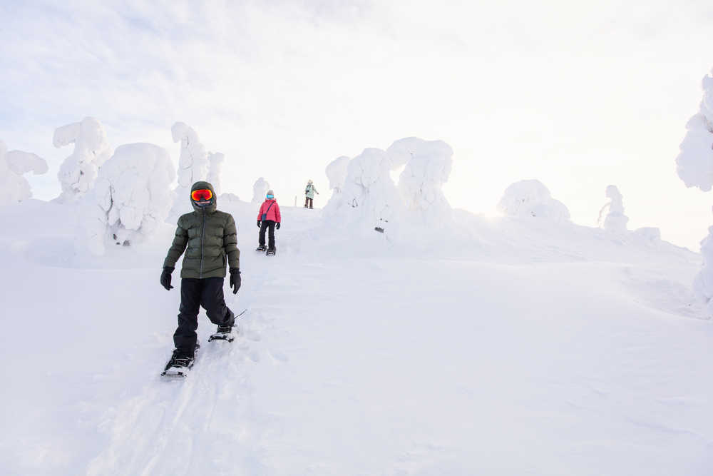 Finlande randonnée en raquettes