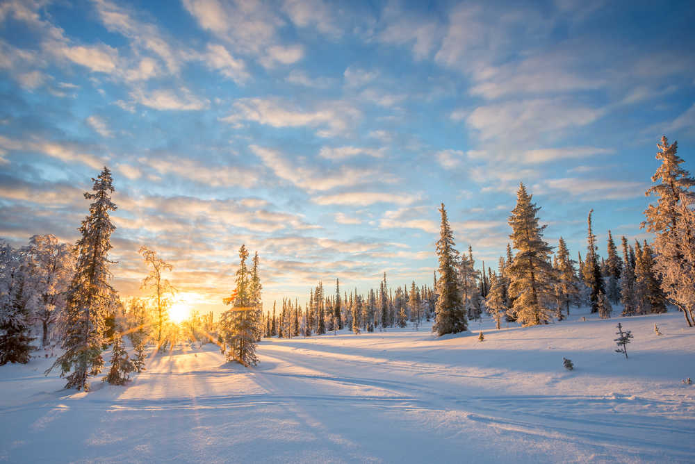 Forêt enneigée paysage Finlande