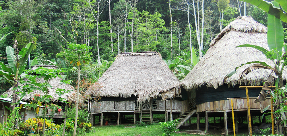 Habitats typiques du peuple bribri au Costa Rica