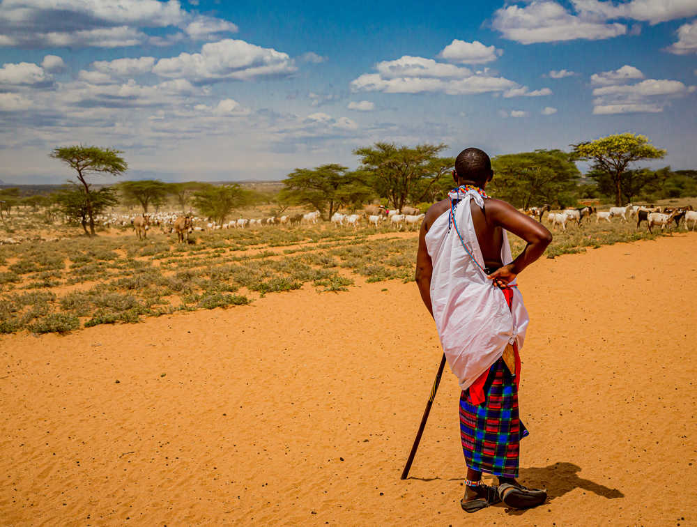 Homme de l'ethnie Samburu , près du village de Samburu, Kenya