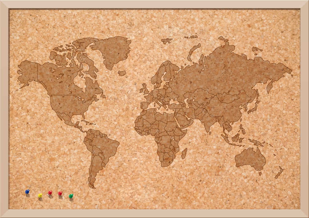 idee-cadeau-voyageur-carte-du-monde