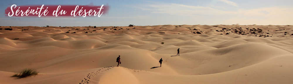 immersion dans le désert de Sahara sérénité du Désert