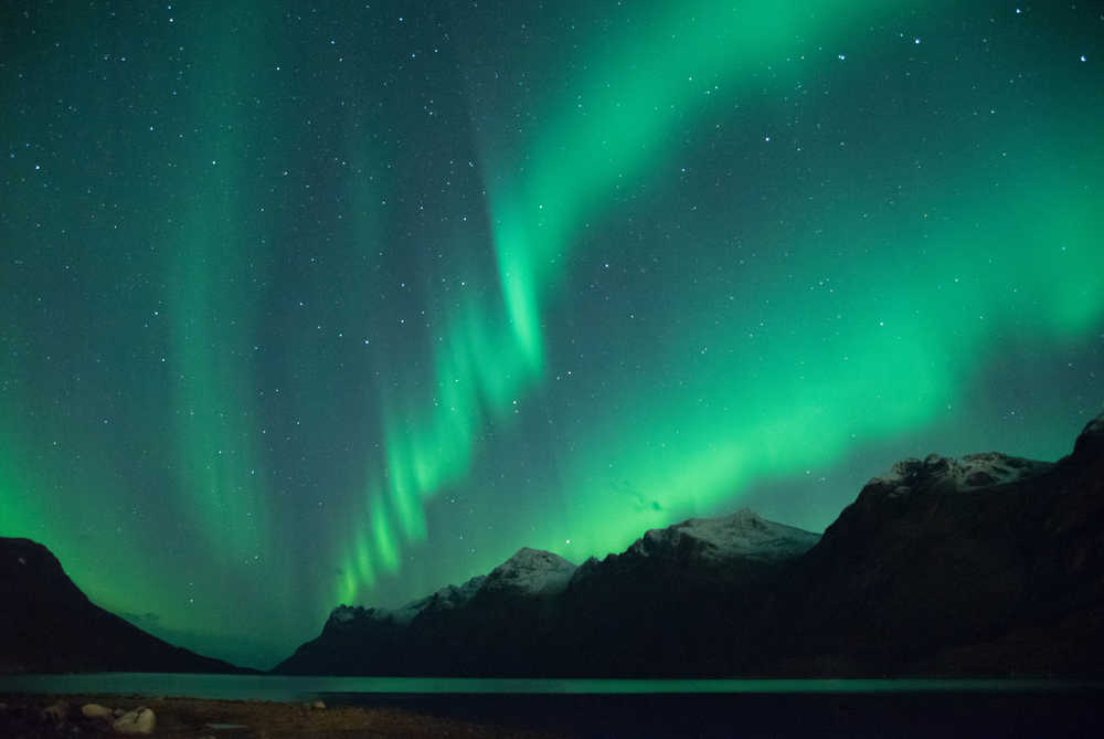 Incroyable aurore boréale sur Ersfjordbotn / ciel de Tromso, Norvège