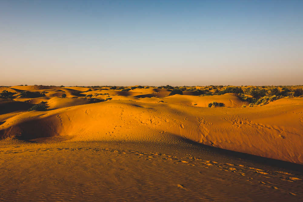 Inde désert du Thar