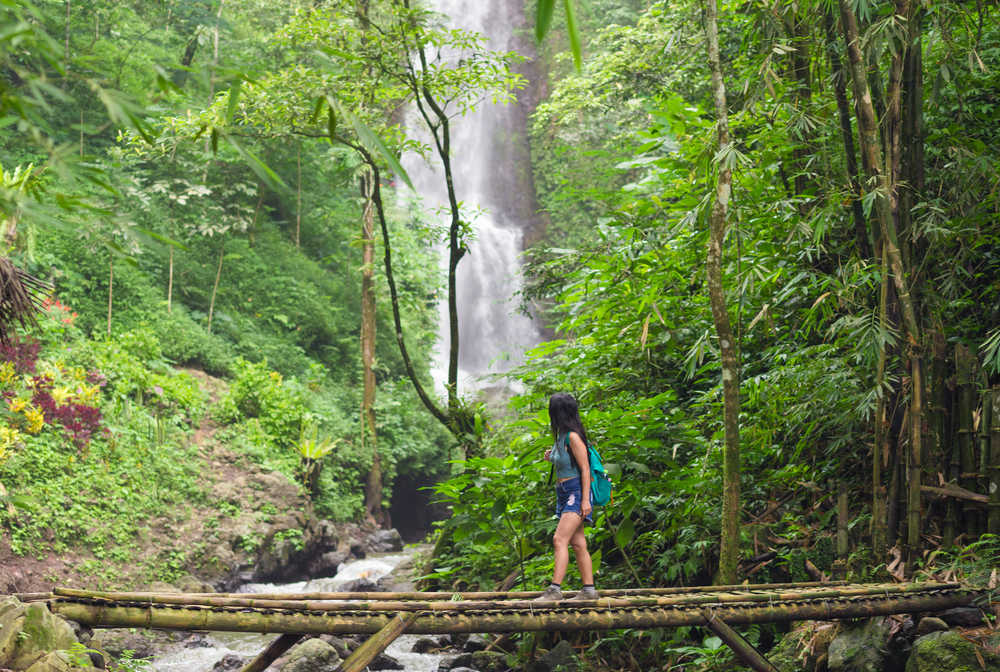 Indonésie Trek Jungle Bali