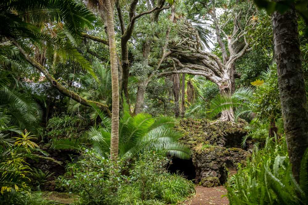 Jardin António Borges à Ponta Delgada, Açores