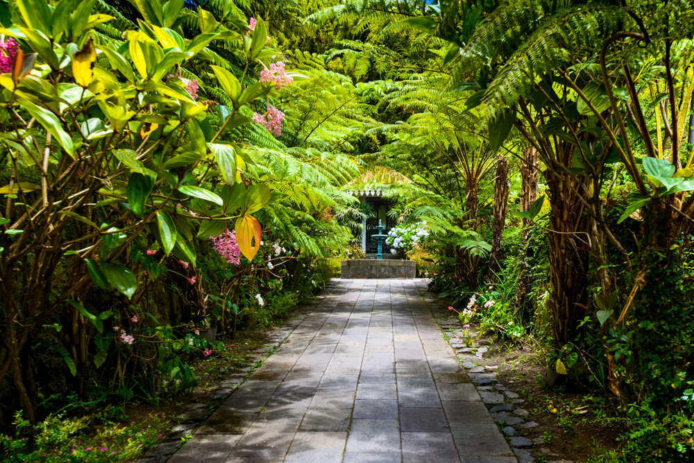 Jardin botanique, Maison Folio, Hell Bourg, Ile de la Réunion