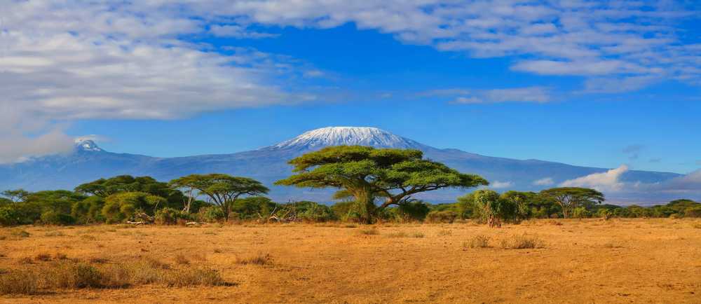 Kilimandjaro enneigé sous un ciel bleu , photographié lors d'un safari en Afrique, au Kenya.