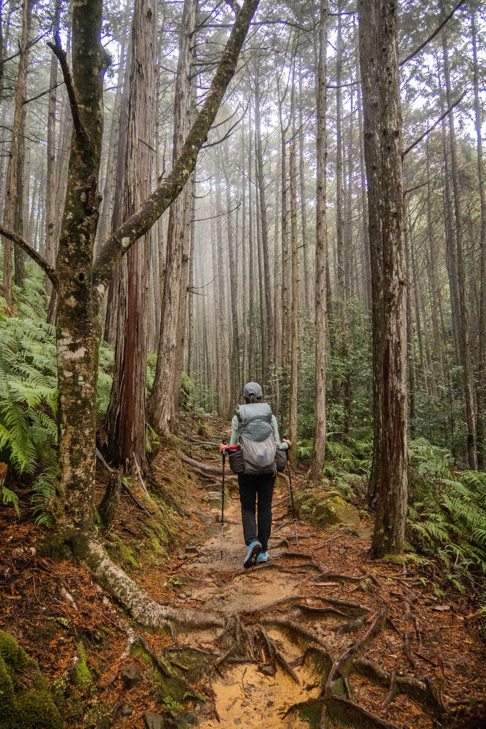 Kumano Kodo