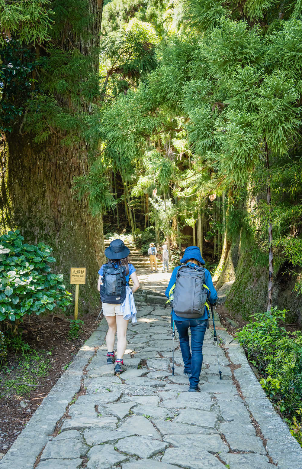 Kumano Kodo randonneurs sentier